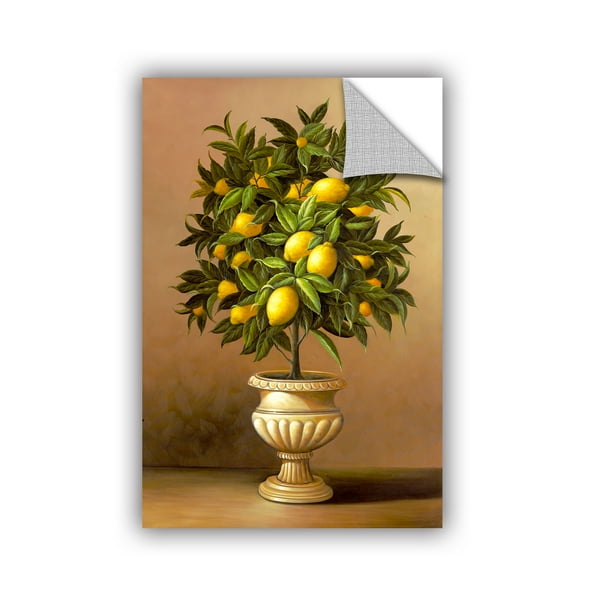 Welby ''Potted Orange Tree'' Gallery Wrapped Canvas 12X18 Welby ''Potted Orange Tree'' Gallery Wrapped Canvas 12X18